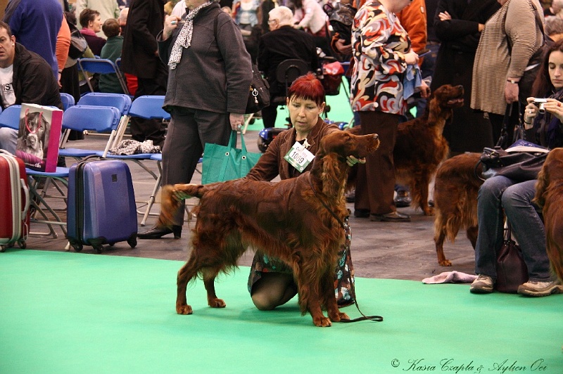 Crufts2011 450.jpg